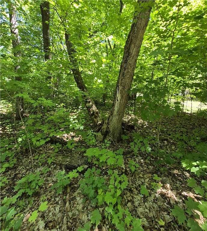 0.23 Acres of Residential Land for Sale in McGregor, Minnesota
