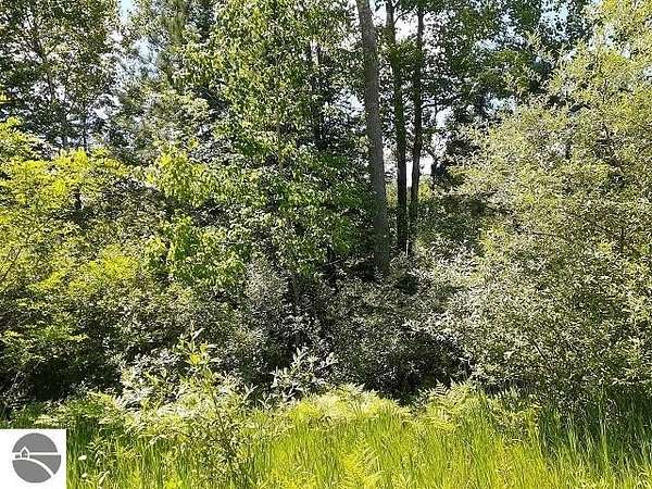 0.24 Acres of Residential Land for Sale in Lupton, Michigan