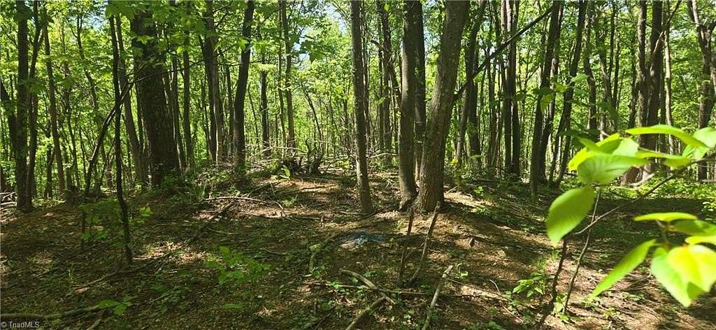 10.6 Acres of Land for Sale in Ararat, Virginia