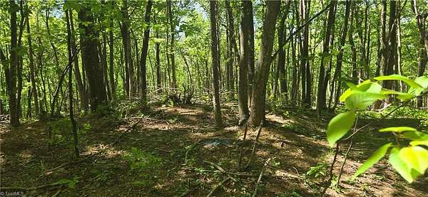 10.6 Acres of Land for Sale in Ararat, Virginia