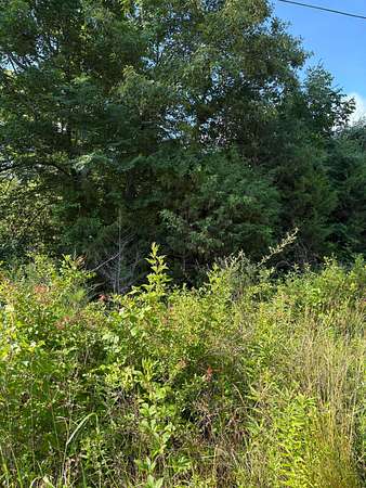 18.1 Acres of Land for Sale in Madisonville, Tennessee
