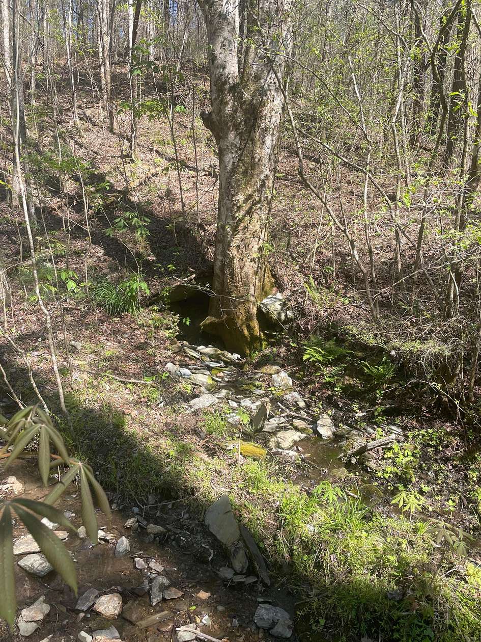 8 Acres of Land for Sale in Tellico Plains, Tennessee