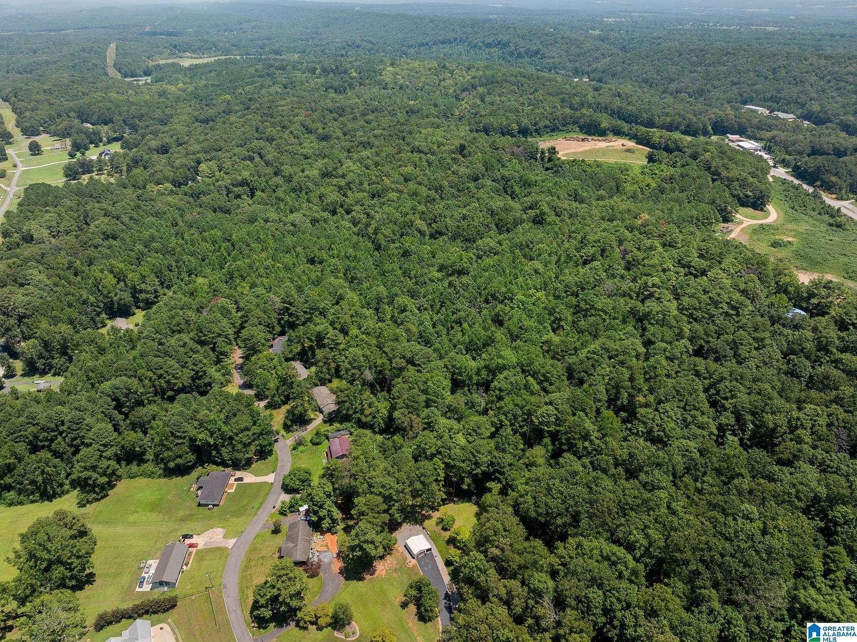 7.2 Acres of Residential Land for Sale in Oneonta, Alabama