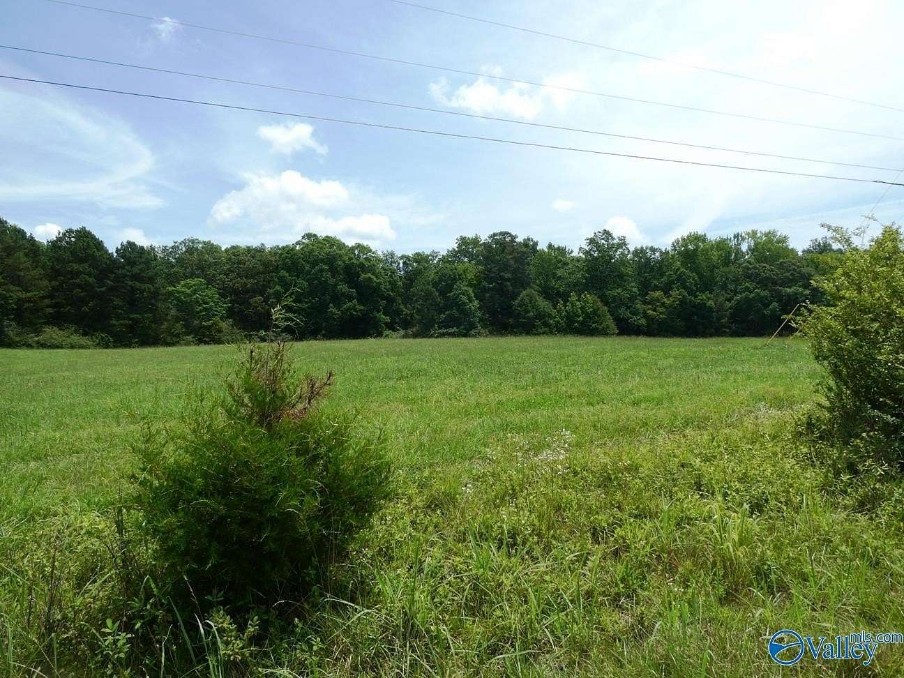 9.2 Acres of Land for Sale in Crane Hill, Alabama