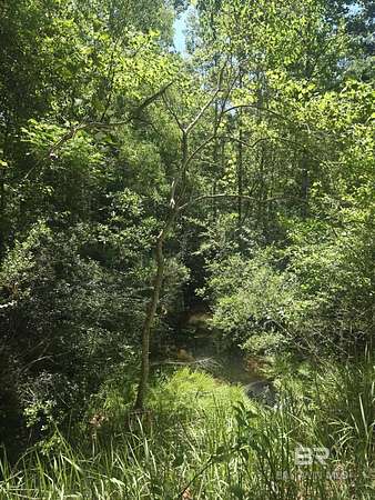 1.28 Acres of Residential Land for Sale in Mobile, Alabama