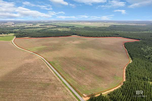 115 Acres of Land for Sale in Atmore, Alabama