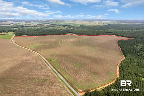 115 Acres of Agricultural Land for Sale in Atmore, Alabama