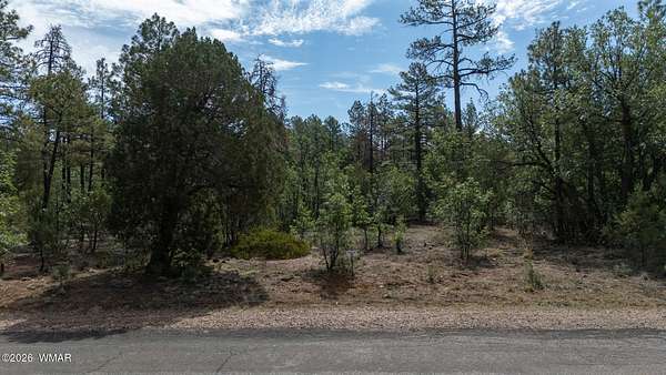 0.51 Acres of Residential Land for Sale in Lakeside, Arizona