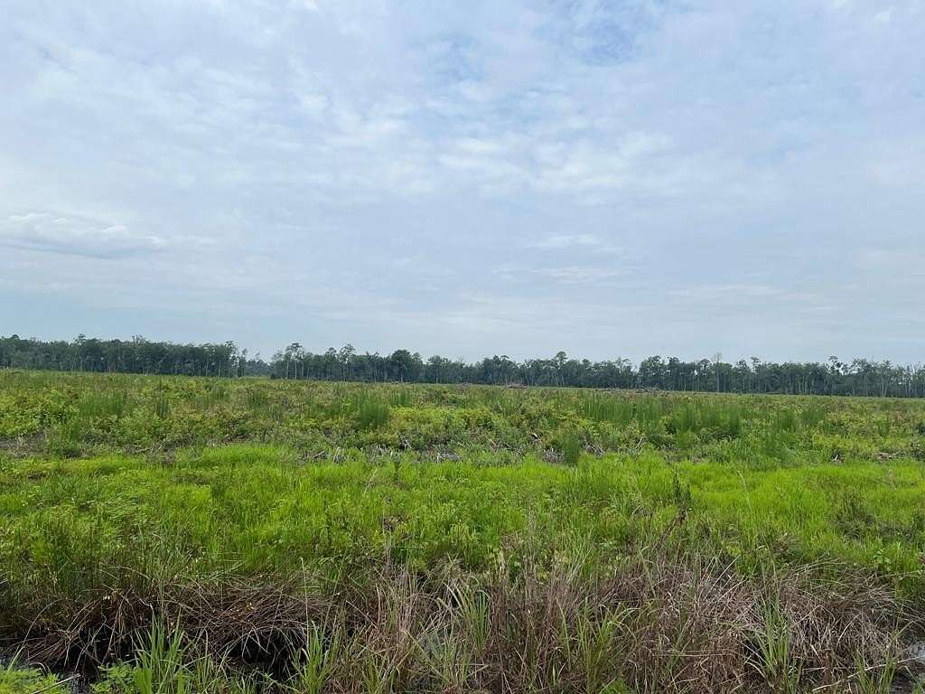 189 Acres of Recreational Land for Sale in Alma, Georgia
