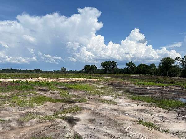 189 Acres of Recreational Land for Sale in Alma, Georgia