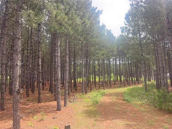 2.45 Acres of Residential Land for Sale in Nevis, Minnesota