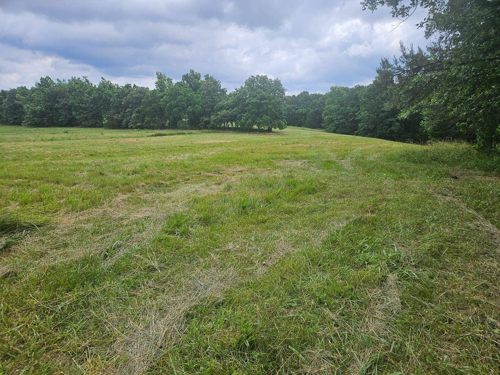 5.16 Acres of Land for Sale in Birch Tree, Missouri