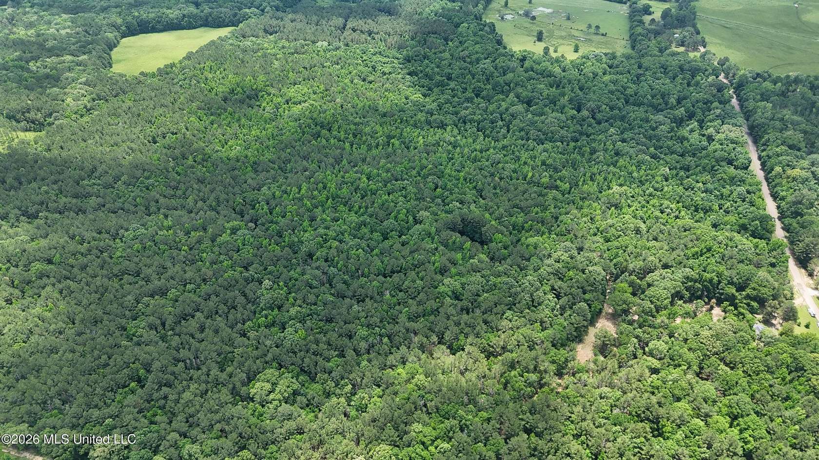 164 Acres of Recreational Land for Sale in Canton, Mississippi