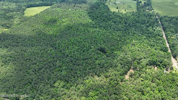164 Acres of Recreational Land for Sale in Canton, Mississippi