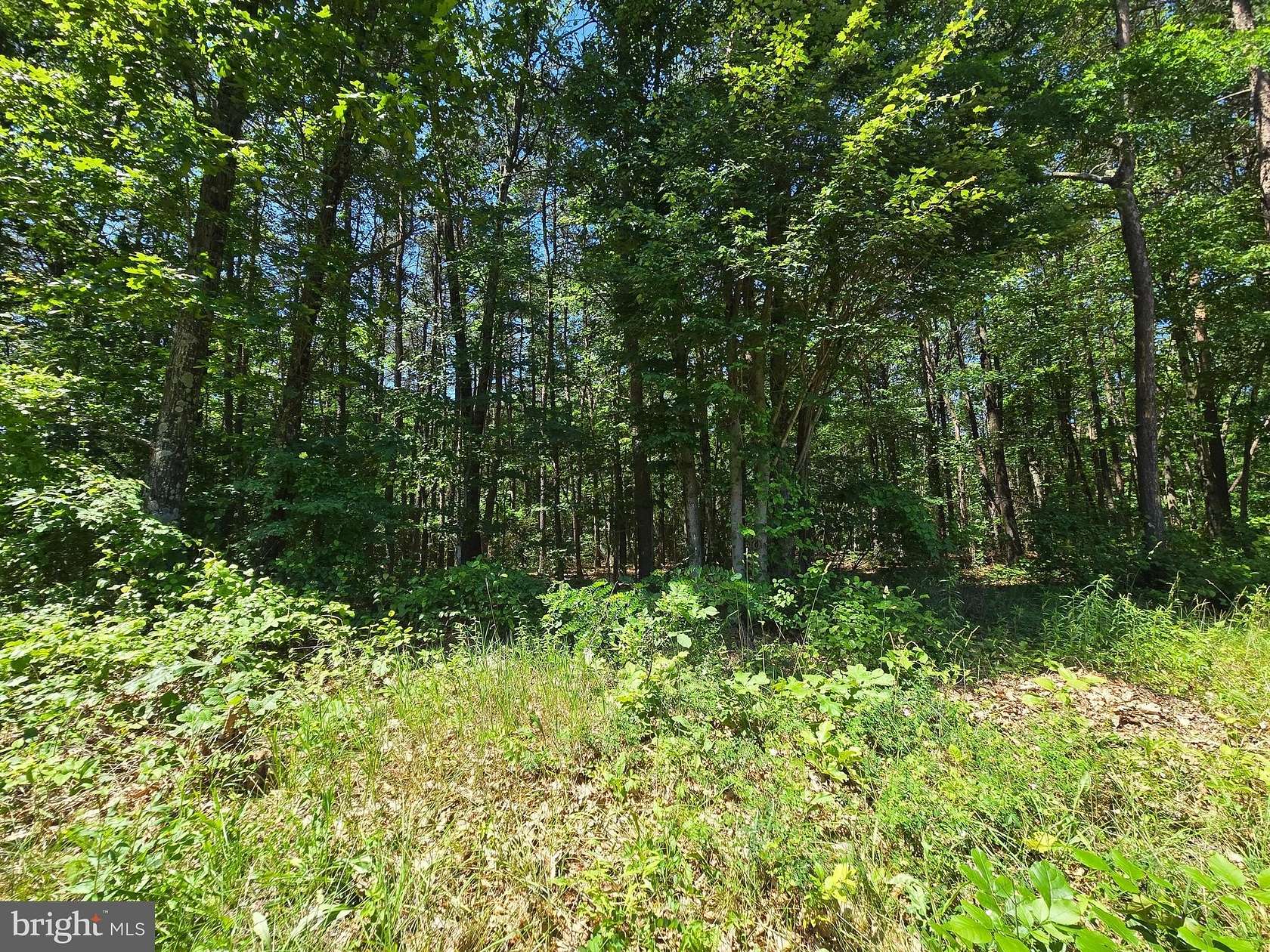 3 Acres of Residential Land for Sale in Points, West Virginia