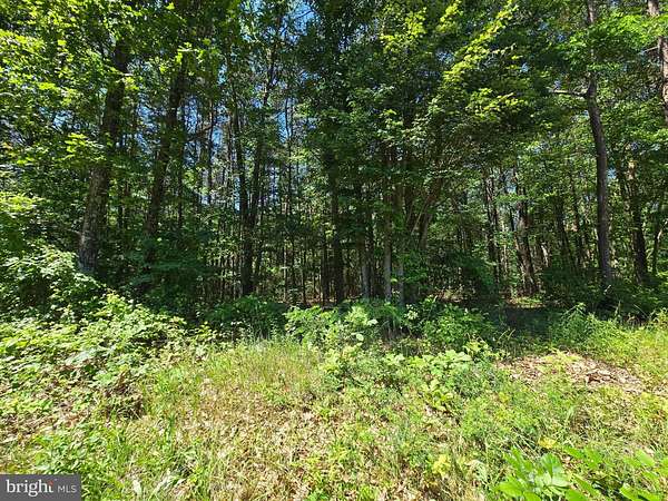 3 Acres of Residential Land for Sale in Points, West Virginia
