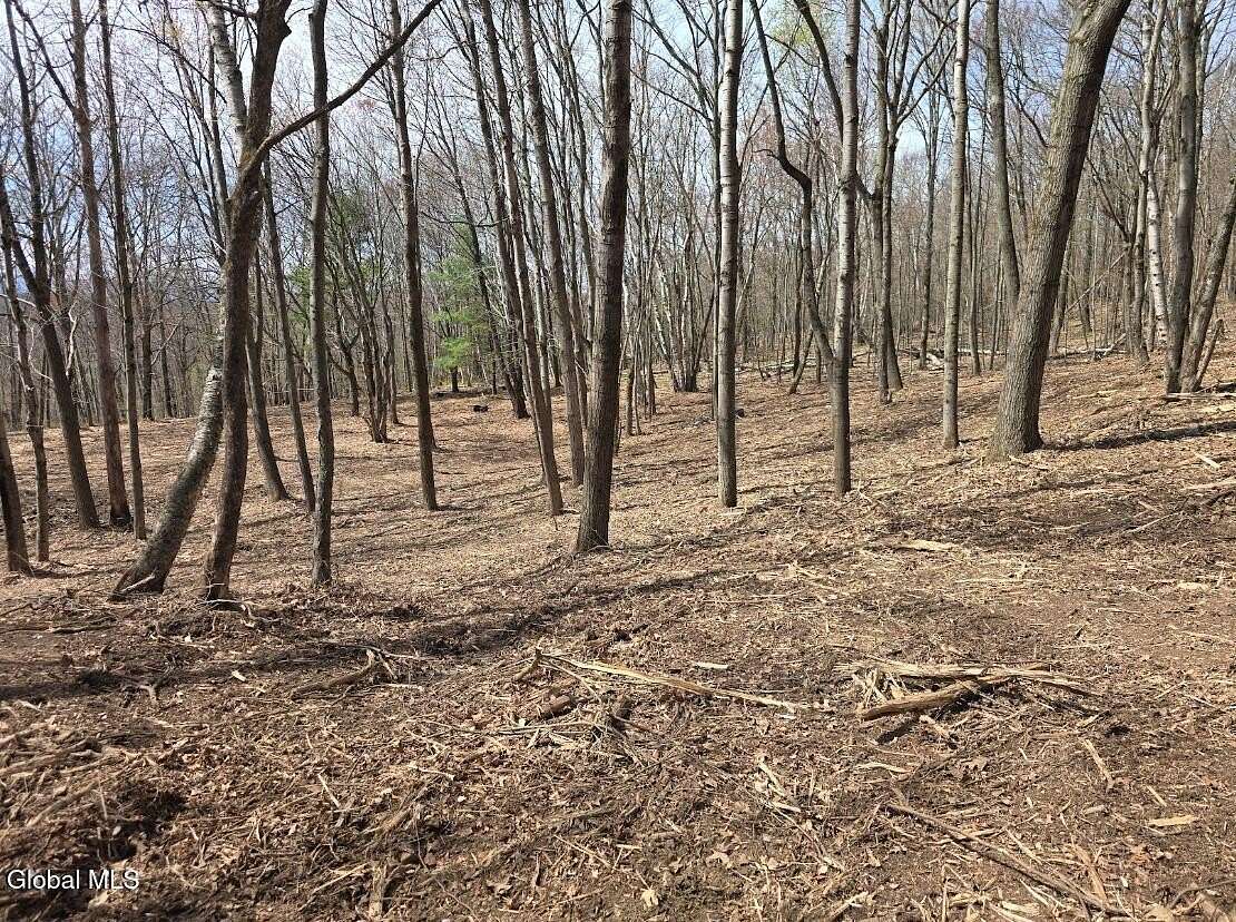 6 Acres of Residential Land for Sale in Hillsdale, New York
