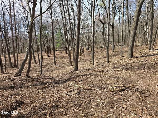 6 Acres of Residential Land for Sale in Hillsdale, New York
