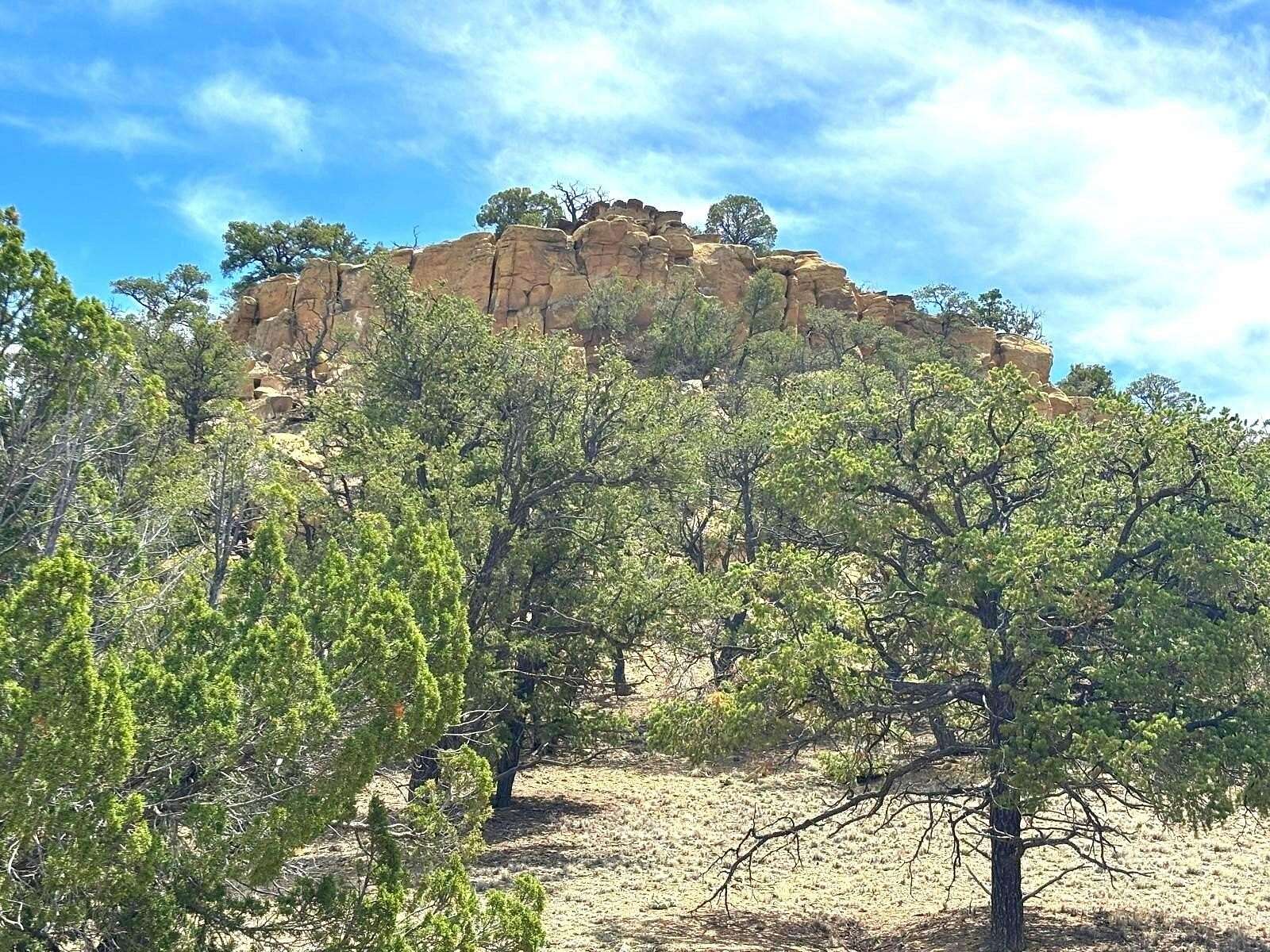 25.8 Acres of Land for Sale in Pie Town, New Mexico