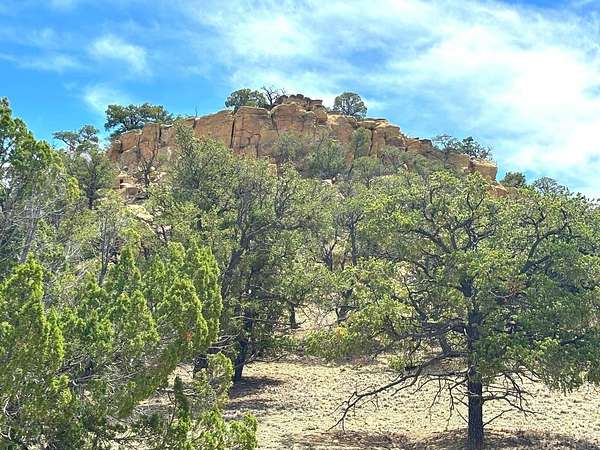 25.8 Acres of Land for Sale in Pie Town, New Mexico