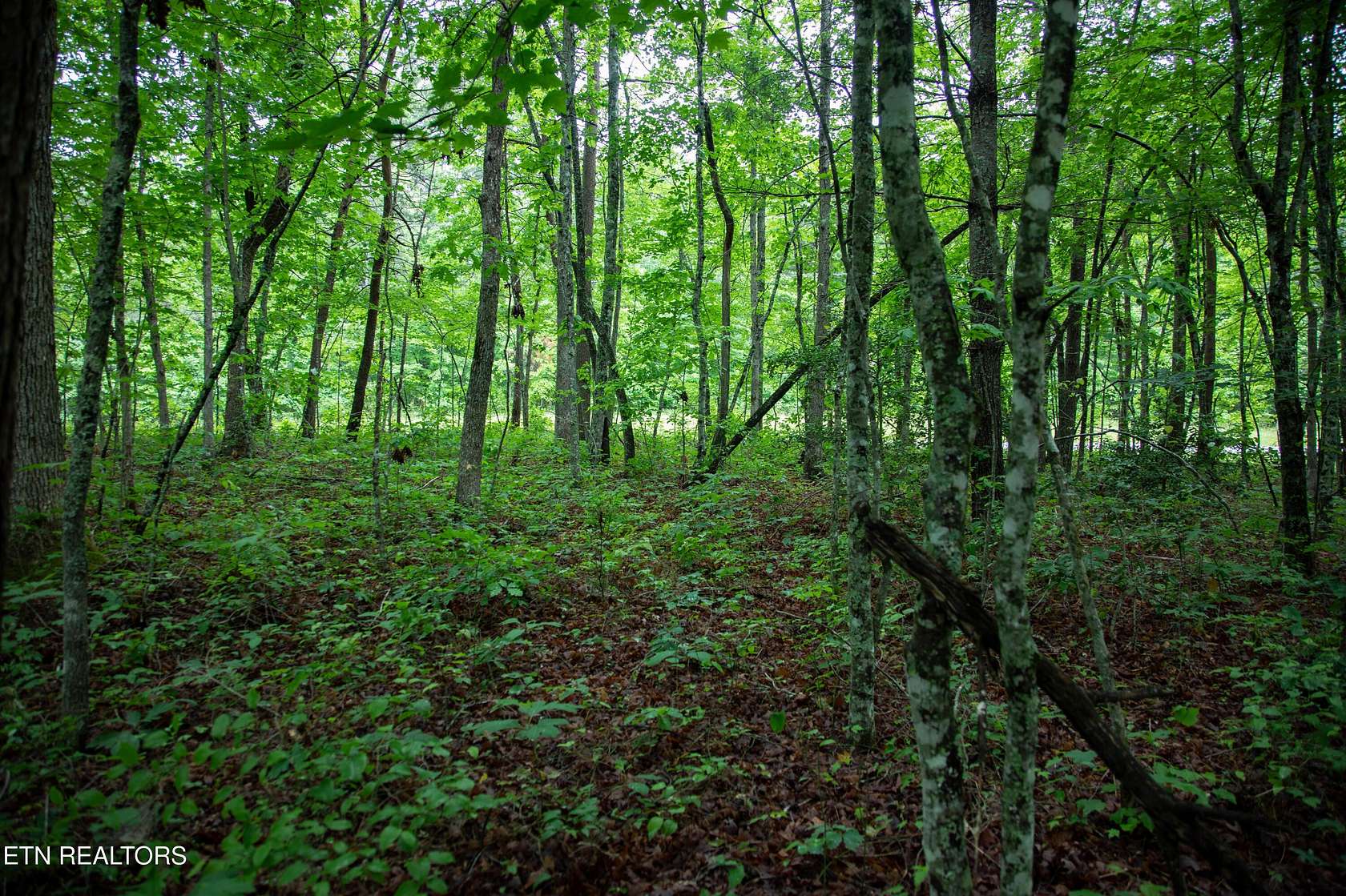 1.1 Acres of Residential Land for Sale in Monterey, Tennessee