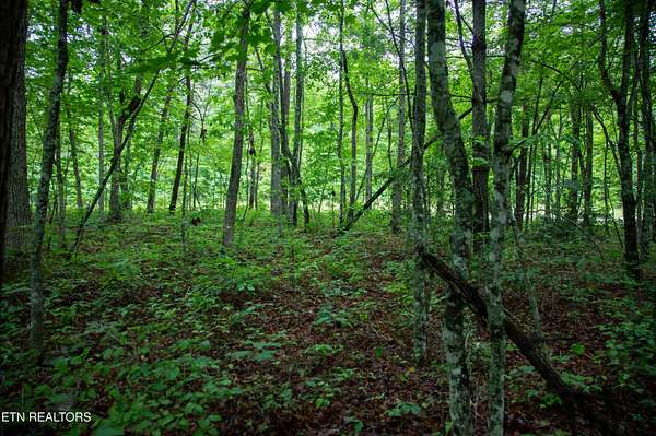 1.1 Acres of Residential Land for Sale in Monterey, Tennessee