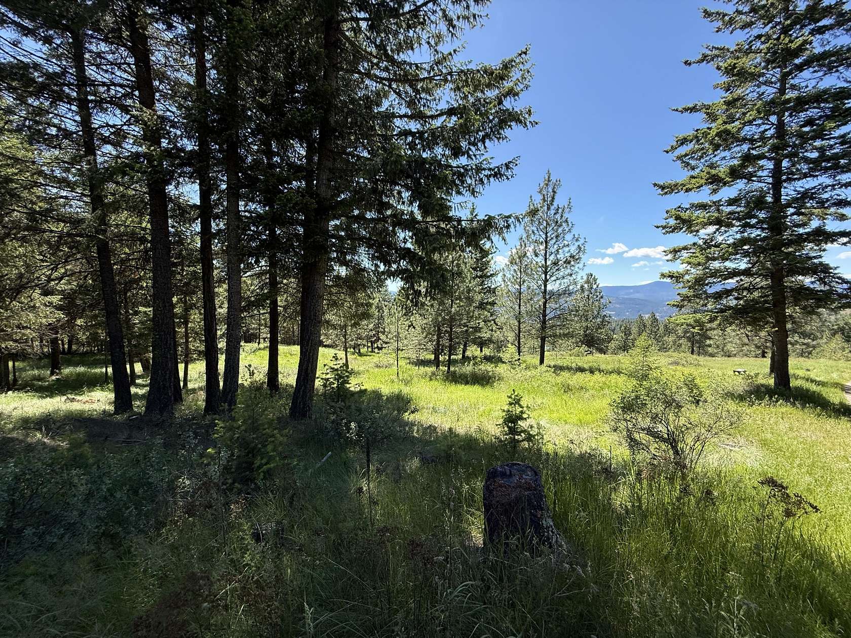 20 Acres of Recreational & Residential Land for Sale in Republic, Washington