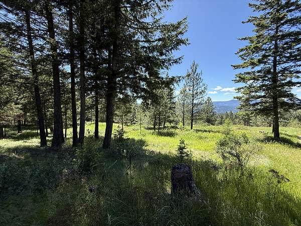 20 Acres of Recreational & Residential Land for Sale in Republic, Washington