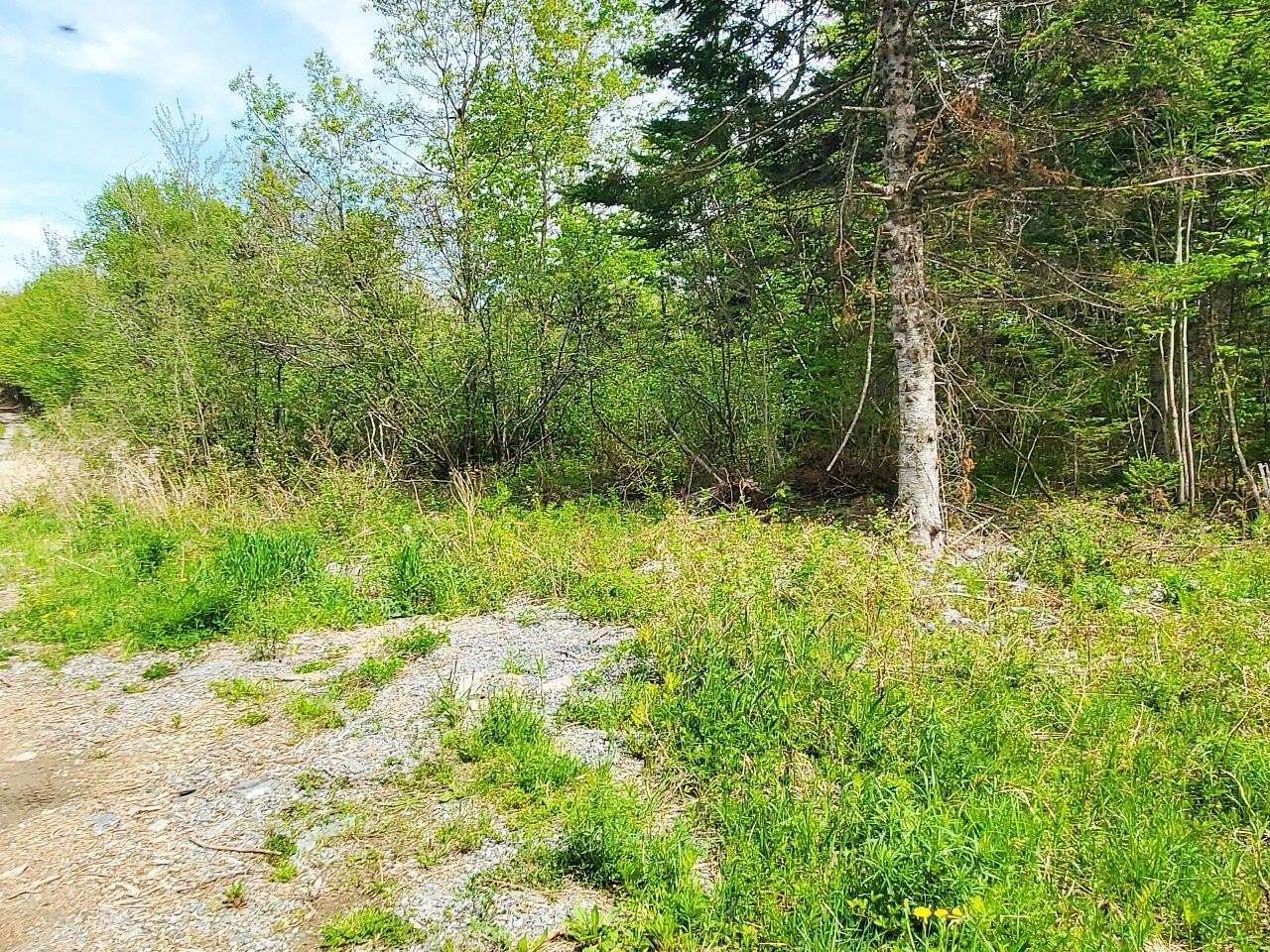 11 Acres of Recreational Land for Sale in Atkinson Town, Maine