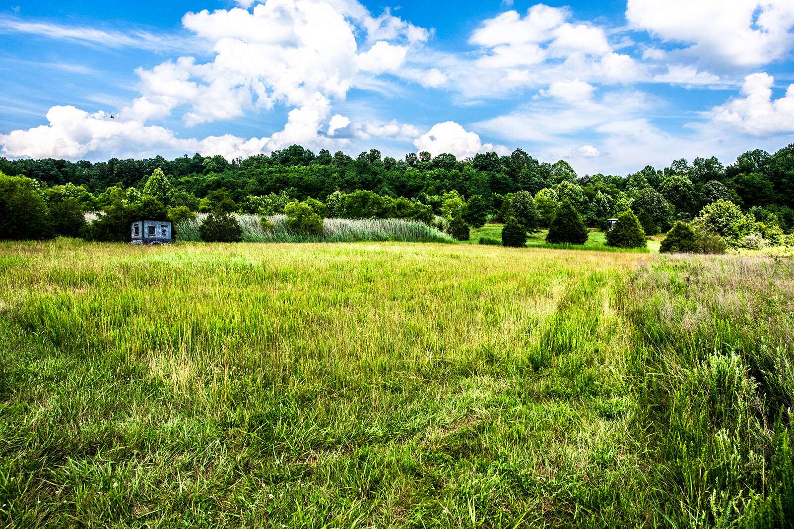 159 Acres of Recreational Land for Sale in Morgantown, Kentucky