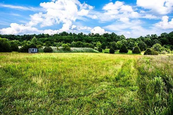 159 Acres of Recreational Land for Sale in Morgantown, Kentucky