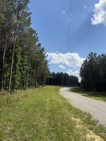 12 Acres of Land for Sale in Hohenwald, Tennessee
