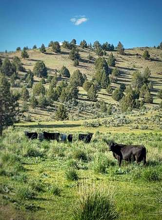 31,191 Acres of Land for Sale in Juntura, Oregon