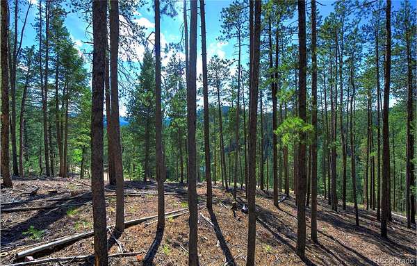 0.89 Acres of Residential Land for Sale in Evergreen, Colorado