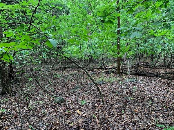 0.4 Acres of Residential Land for Sale in Lake Ozark, Missouri