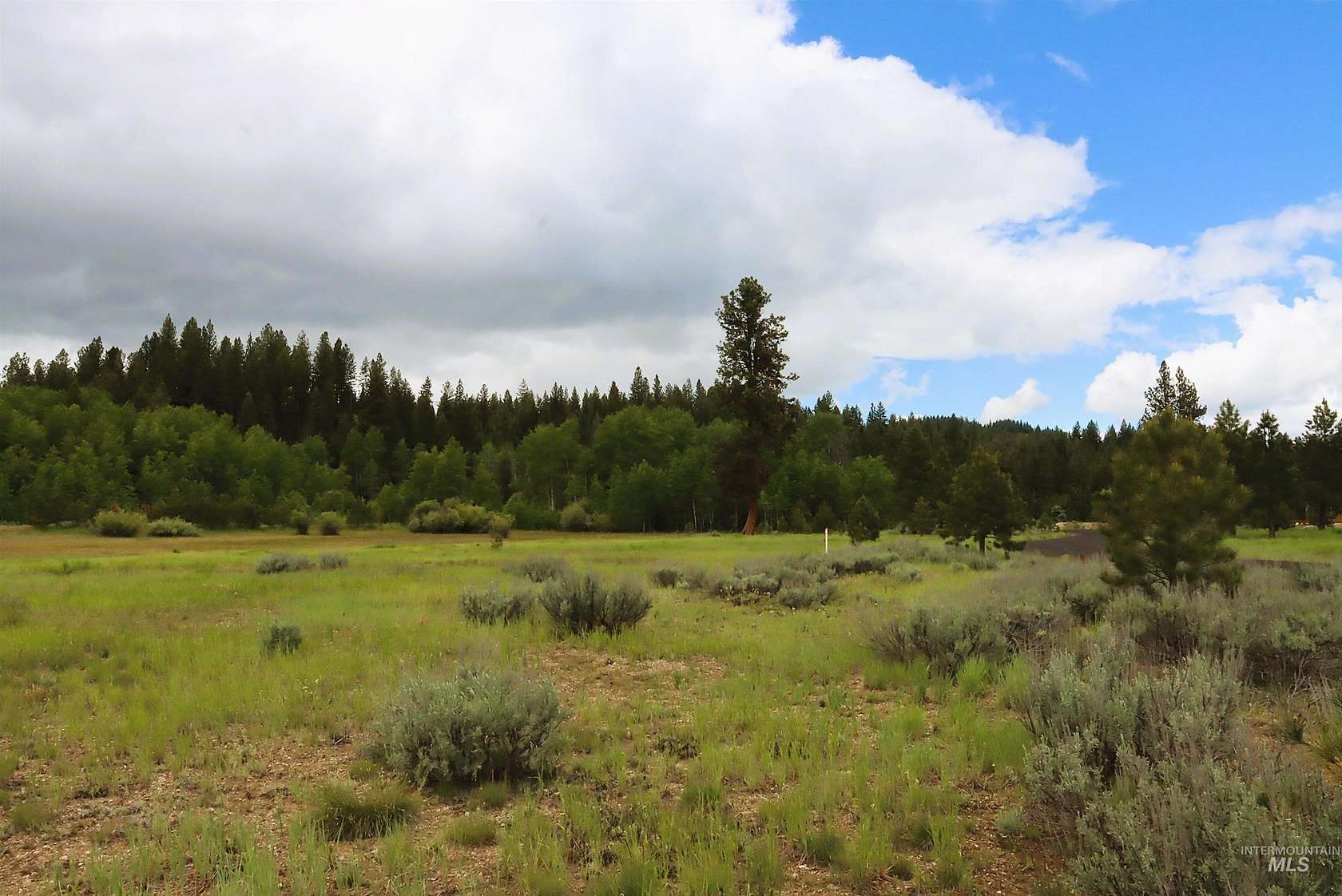 1.19 Acres of Residential Land for Sale in McCall, Idaho