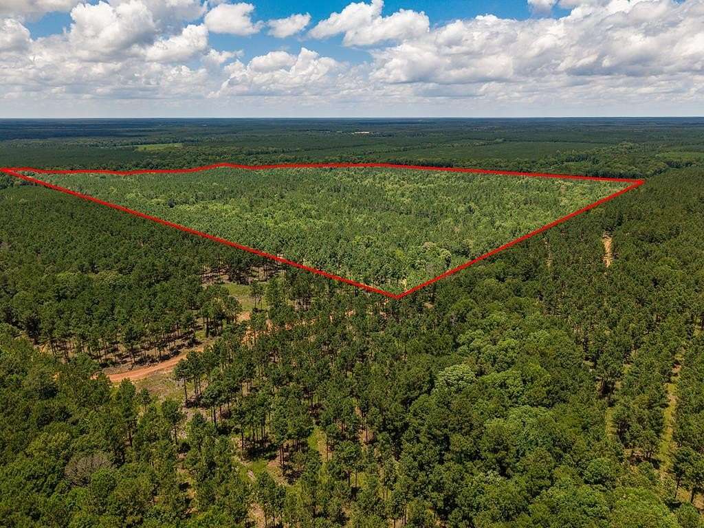 173 Acres of Recreational Land for Sale in Etoile, Texas