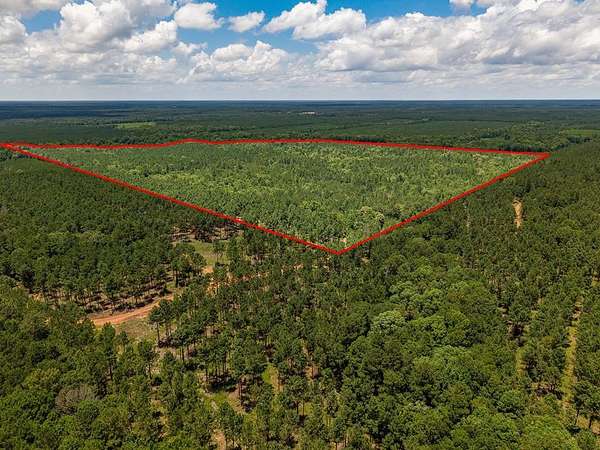 173 Acres of Recreational Land for Sale in Etoile, Texas
