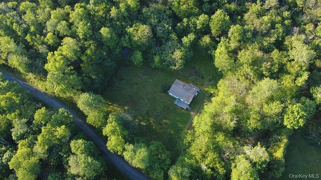 20.3 Acres of Recreational Land with Home for Sale in Parksville, New York
