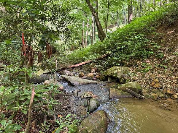 30 Acres of Recreational Land for Sale in Sylva, North Carolina