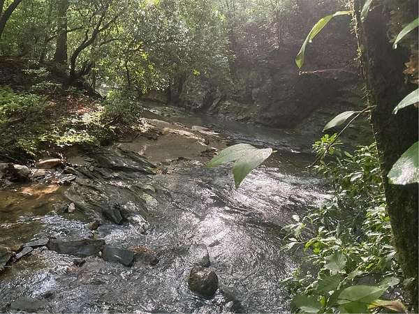 18.4 Acres of Recreational & Residential Land for Sale in Dawsonville, Georgia