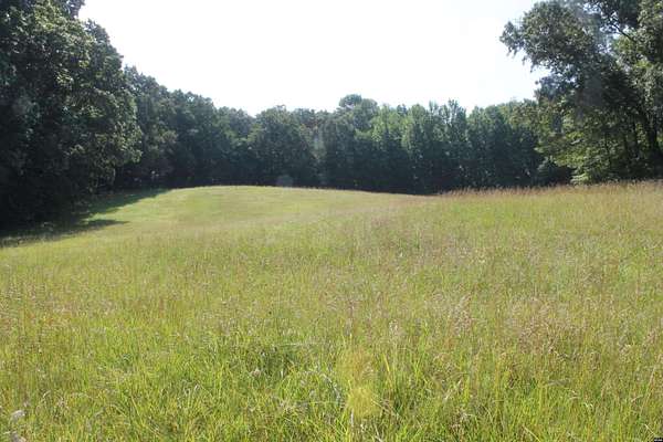 23 Acres of Recreational & Residential Land for Sale in Palmersville, Tennessee