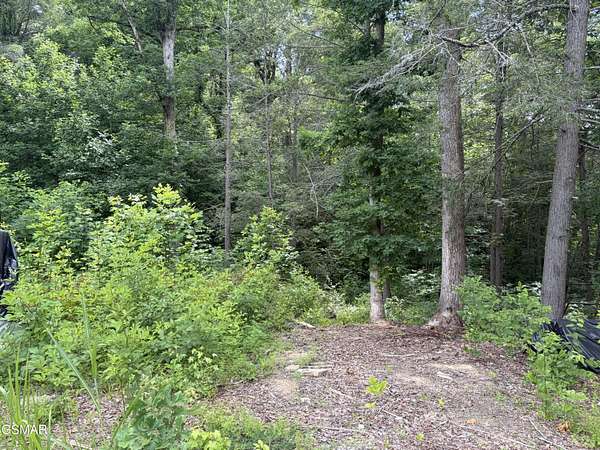 0.91 Acres of Residential Land for Sale in Sevierville, Tennessee