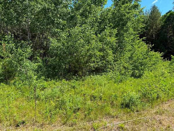 2.5 Acres of Residential Land for Sale in Arkdale, Wisconsin