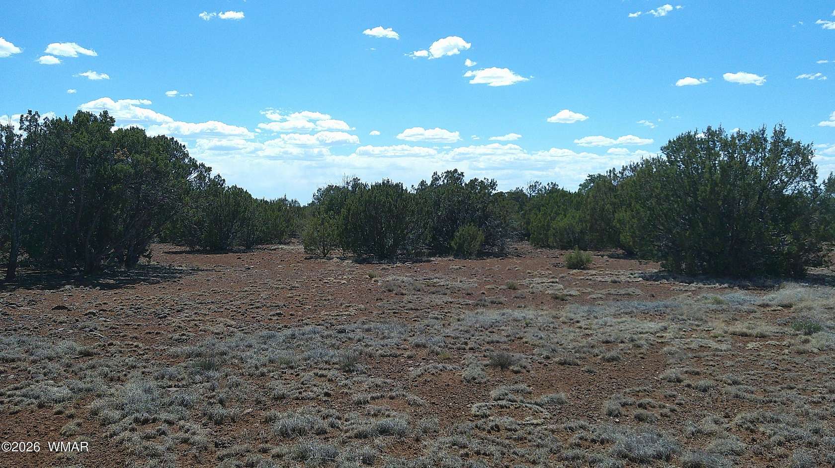 1.18 Acres of Residential Land for Sale in Concho, Arizona