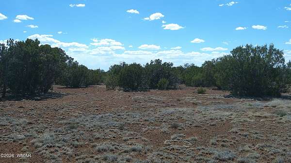 1.18 Acres of Residential Land for Sale in Concho, Arizona