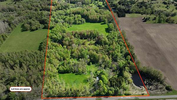 52 Acres of Recreational & Residential Land for Sale in Custer, Michigan