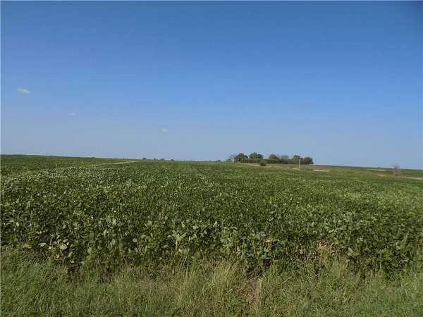 80 Acres of Agricultural Land for Sale in Colony, Kansas