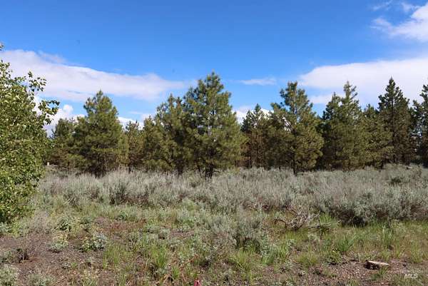 1.35 Acres of Residential Land for Sale in McCall, Idaho