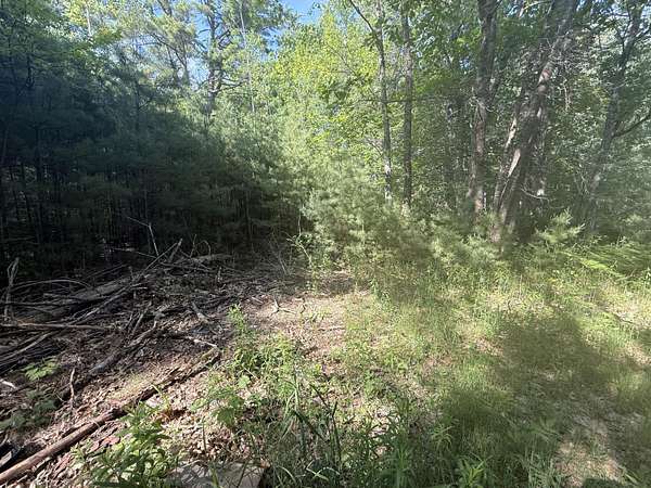 1 Acre of Residential Land for Sale in Enfield, Maine